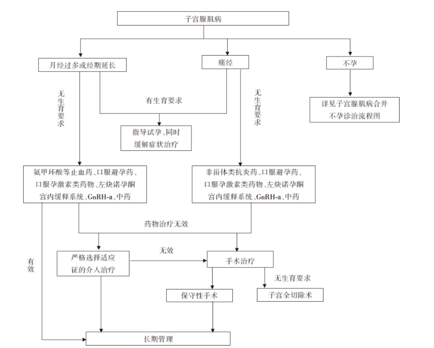图2 诊疗流程